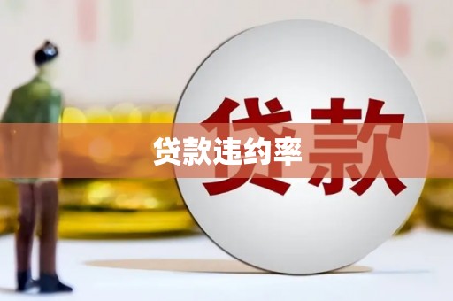 略阳贷款违约率