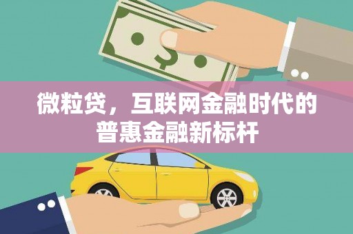 略阳微粒贷，互联网金融时代的普惠金融新标杆