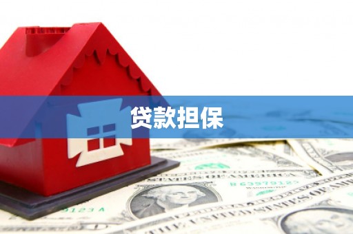 略阳贷款担保