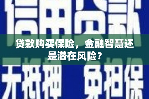 略阳贷款购买保险，金融智慧还是潜在风险？