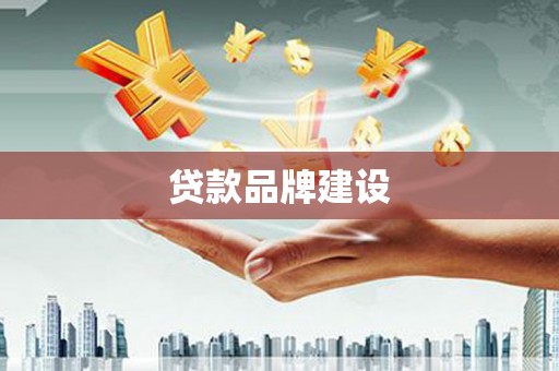 略阳贷款品牌建设