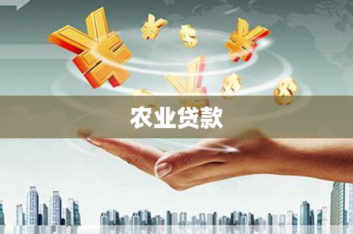 略阳农业贷款