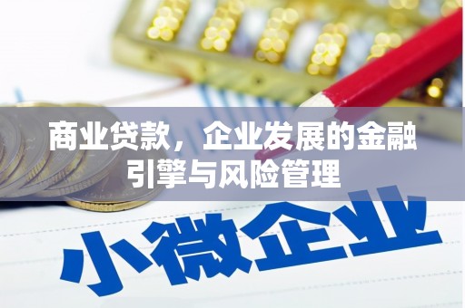 略阳商业贷款，企业发展的金融引擎与风险管理