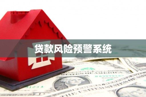 略阳贷款风险预警系统