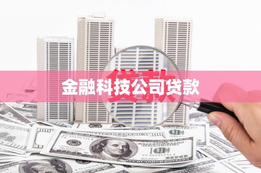 略阳金融科技公司贷款
