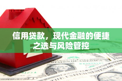 略阳信用贷款，现代金融的便捷之选与风险管控