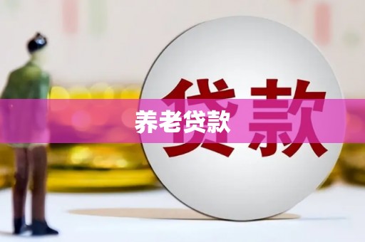 略阳养老贷款