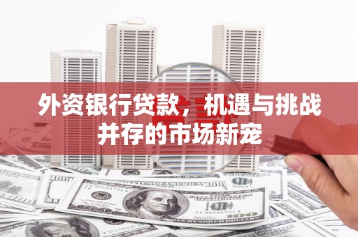 略阳外资银行贷款，机遇与挑战并存的市场新宠