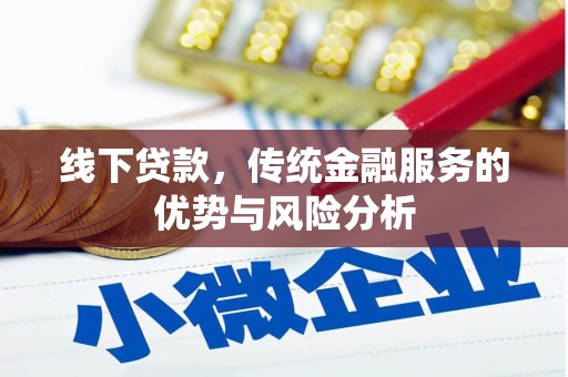 略阳线下贷款，传统金融服务的优势与风险分析