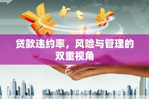 略阳贷款违约率，风险与管理的双重视角
