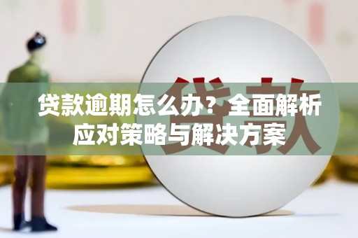 略阳贷款逾期怎么办？全面解析应对策略与解决方案