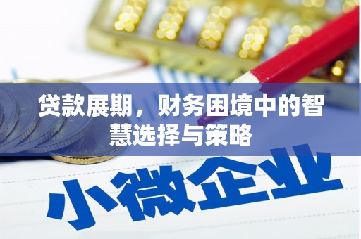 略阳贷款展期，财务困境中的智慧选择与策略