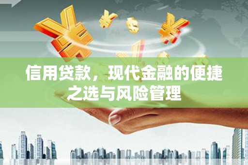 略阳信用贷款，现代金融的便捷之选与风险管理