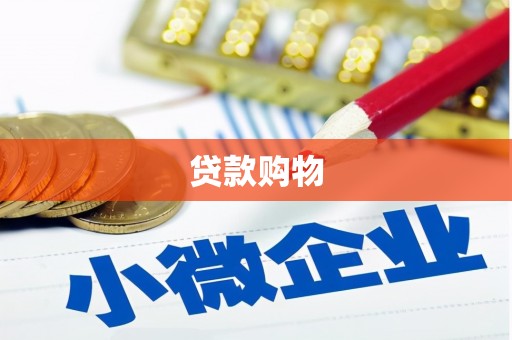 略阳贷款购物