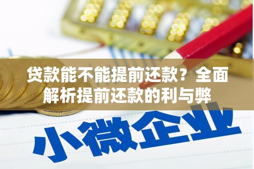 略阳贷款能不能提前还款？全面解析提前还款的利与弊