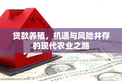 略阳贷款养殖，机遇与风险并存的现代农业之路