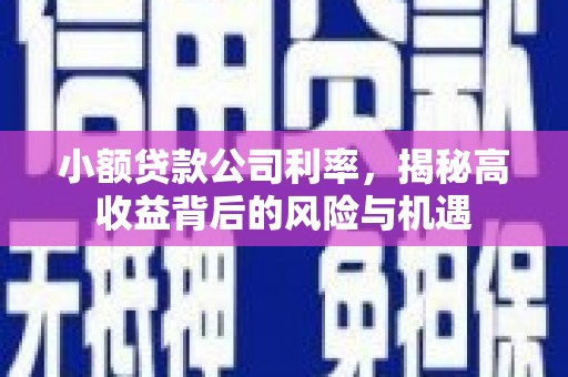 略阳小额贷款公司利率，揭秘高收益背后的风险与机遇