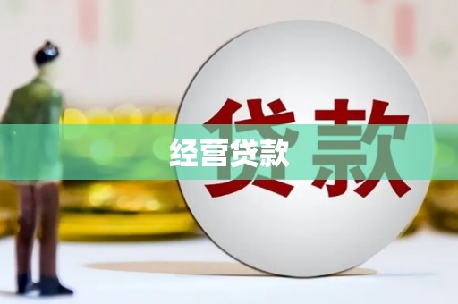略阳经营贷款