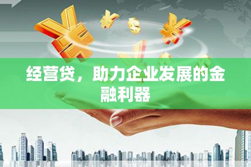 略阳经营贷，助力企业发展的金融利器