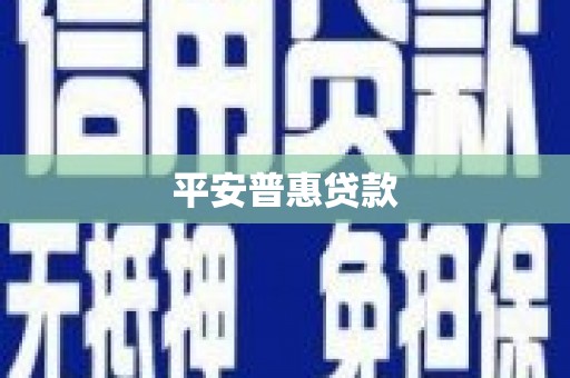 略阳平安普惠贷款