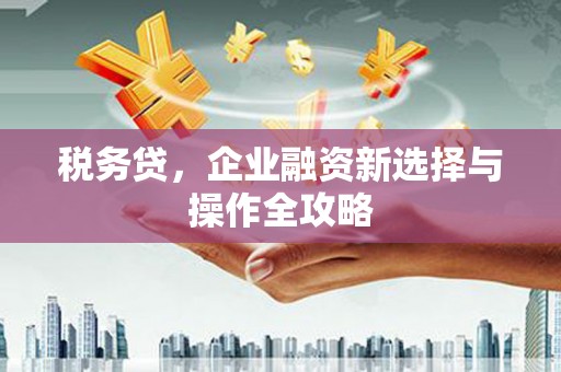略阳税务贷，企业融资新选择与操作全攻略