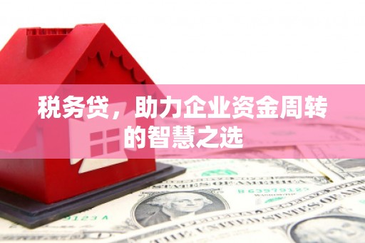 略阳税务贷，助力企业资金周转的智慧之选