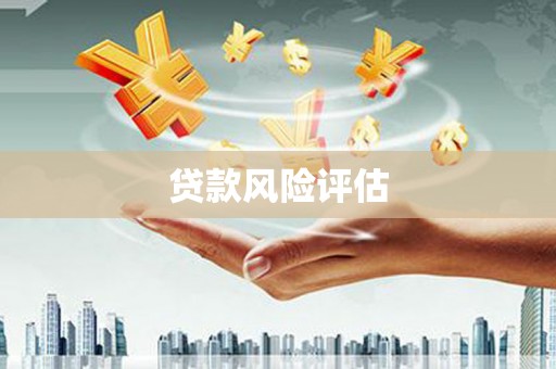 略阳贷款风险评估
