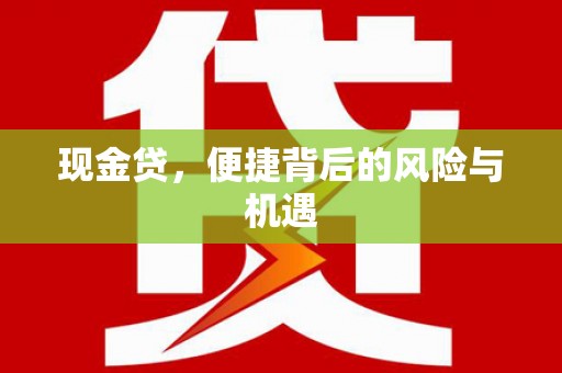略阳现金贷，便捷背后的风险与机遇