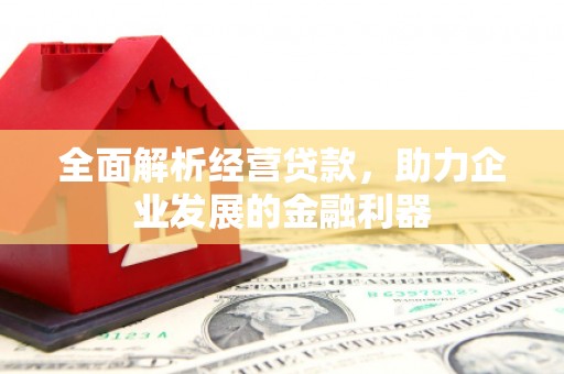略阳全面解析经营贷款，助力企业发展的金融利器