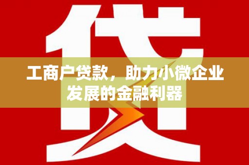 略阳工商户贷款，助力小微企业发展的金融利器