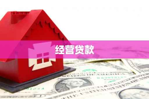 略阳经营贷款