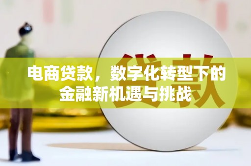 略阳电商贷款，数字化转型下的金融新机遇与挑战