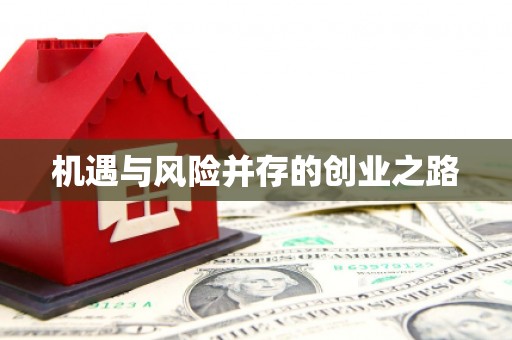 略阳机遇与风险并存的创业之路