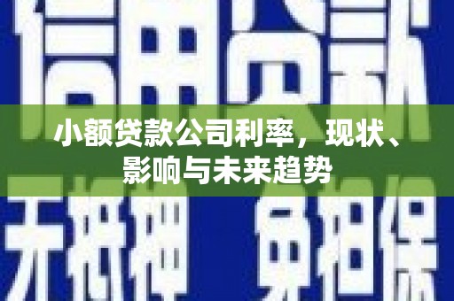 略阳小额贷款公司利率，现状、影响与未来趋势