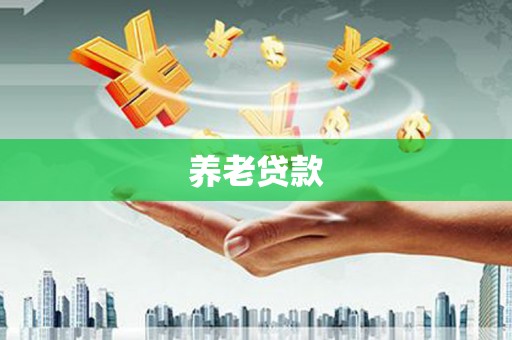 略阳养老贷款