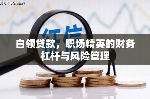 略阳白领贷款，职场精英的财务杠杆与风险管理