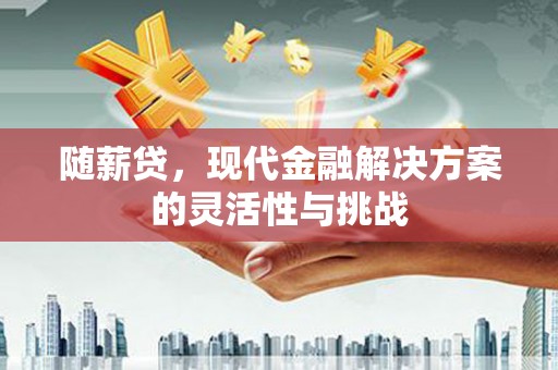 略阳随薪贷，现代金融解决方案的灵活性与挑战