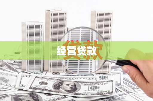 略阳经营贷款