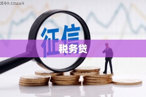 略阳税务贷