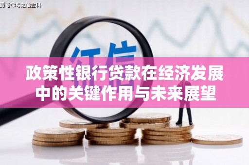 略阳政策性银行贷款在经济发展中的关键作用与未来展望