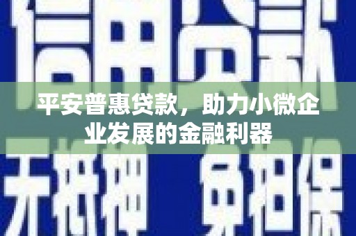 略阳平安普惠贷款，助力小微企业发展的金融利器