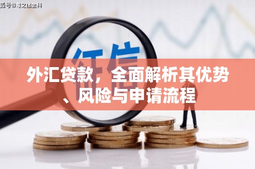 略阳外汇贷款，全面解析其优势、风险与申请流程