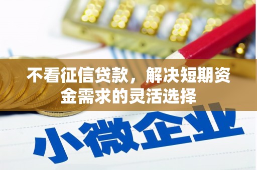 略阳不看征信贷款，解决短期资金需求的灵活选择