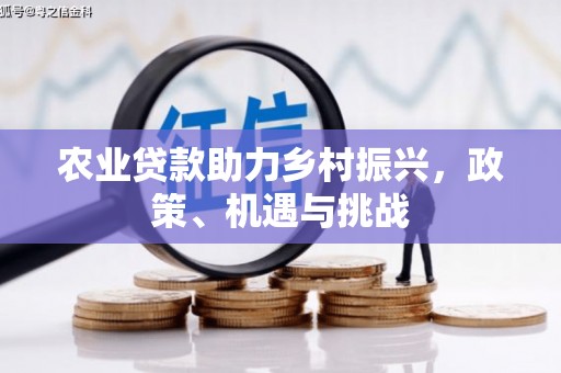 略阳农业贷款助力乡村振兴，政策、机遇与挑战