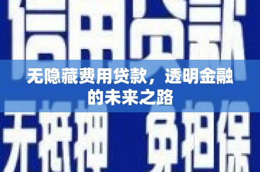 略阳无隐藏费用贷款，透明金融的未来之路