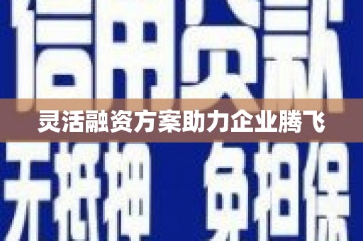 略阳灵活融资方案助力企业腾飞