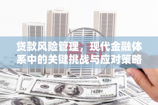 略阳贷款风险管理，现代金融体系中的关键挑战与应对策略