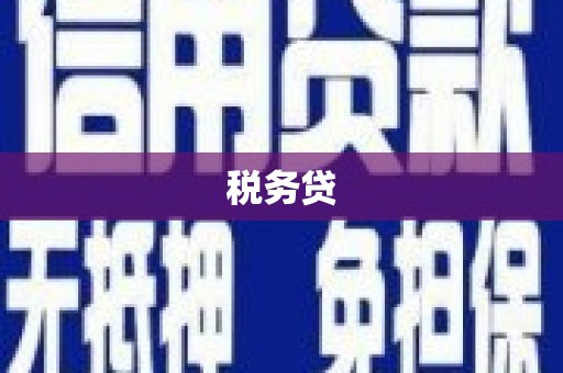 略阳税务贷