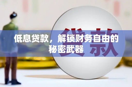 略阳低息贷款，解锁财务自由的秘密武器