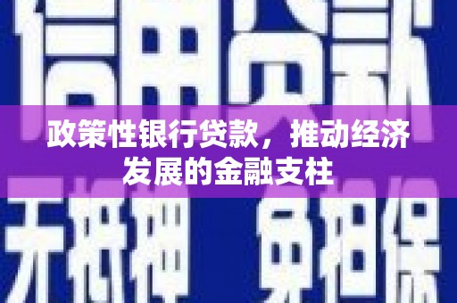 略阳政策性银行贷款，推动经济发展的金融支柱